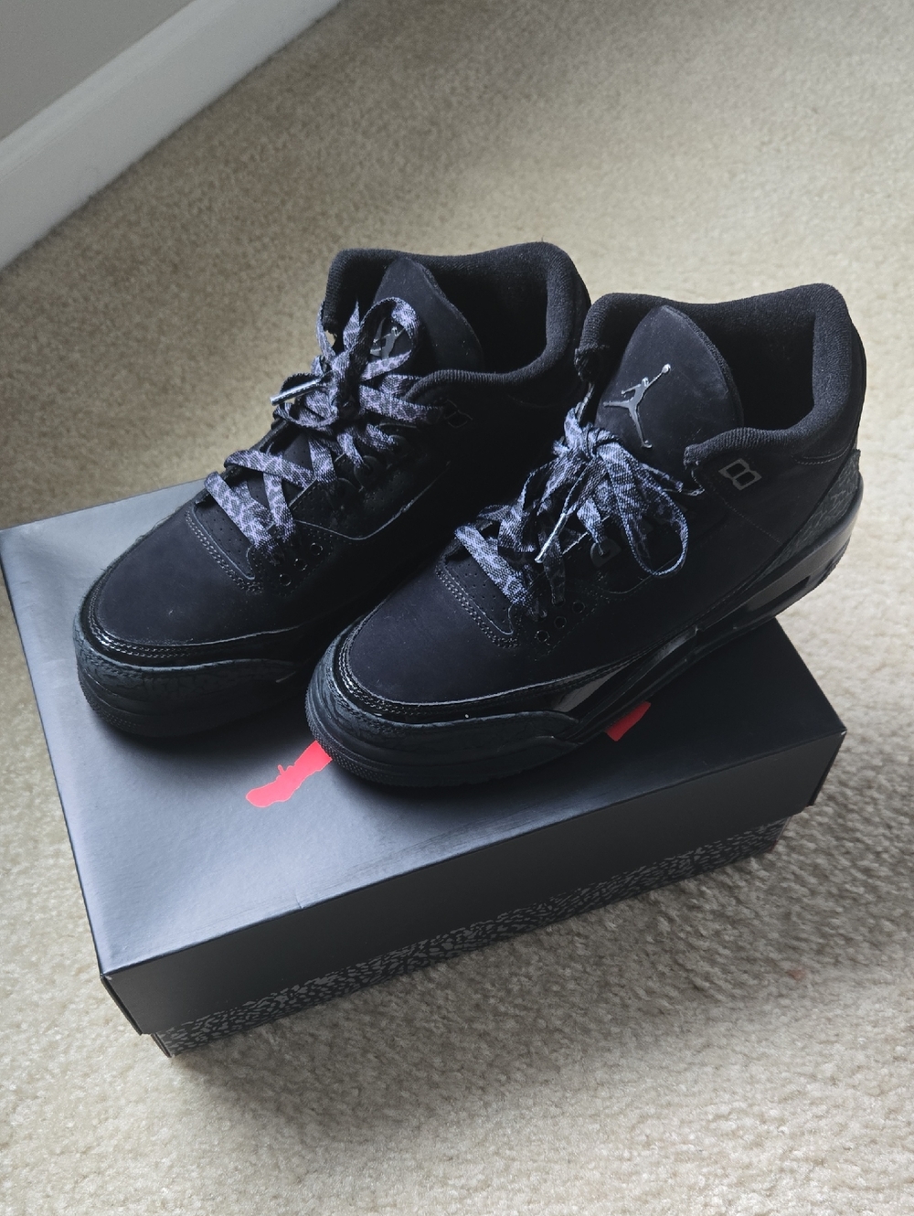 Air Jordan 3 Black Cat